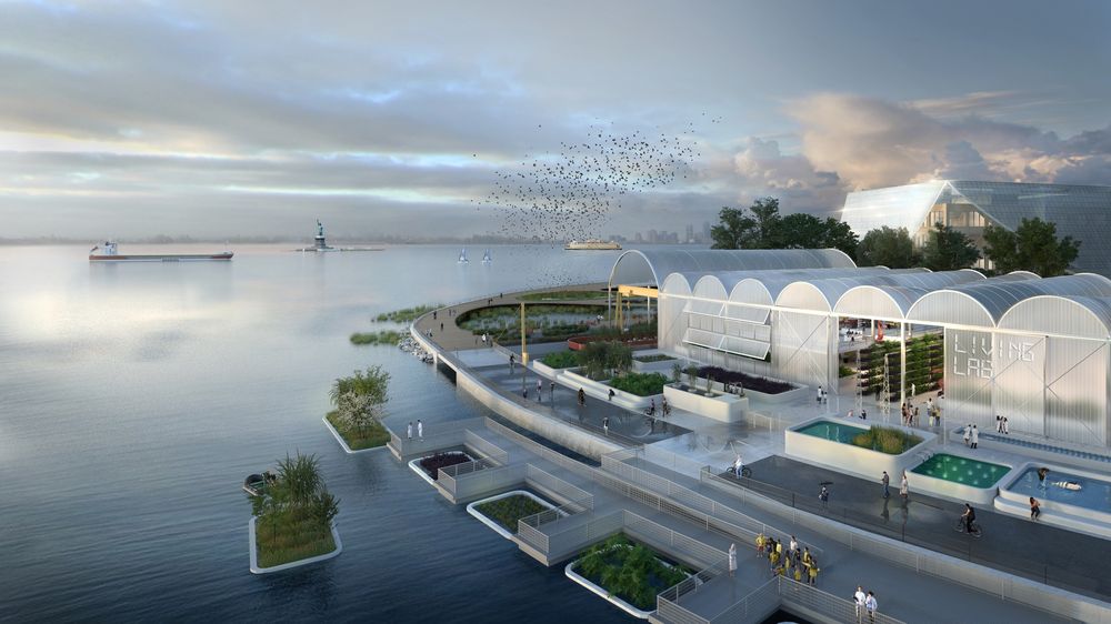 How NYC will make Governors Island a ‘living laboratory’ for climate research