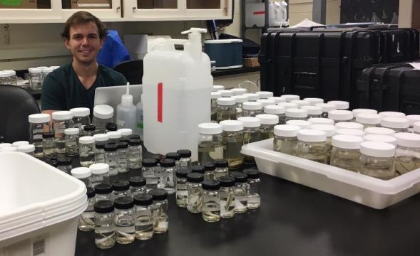 Is climate change impacting fish along the NC coast?