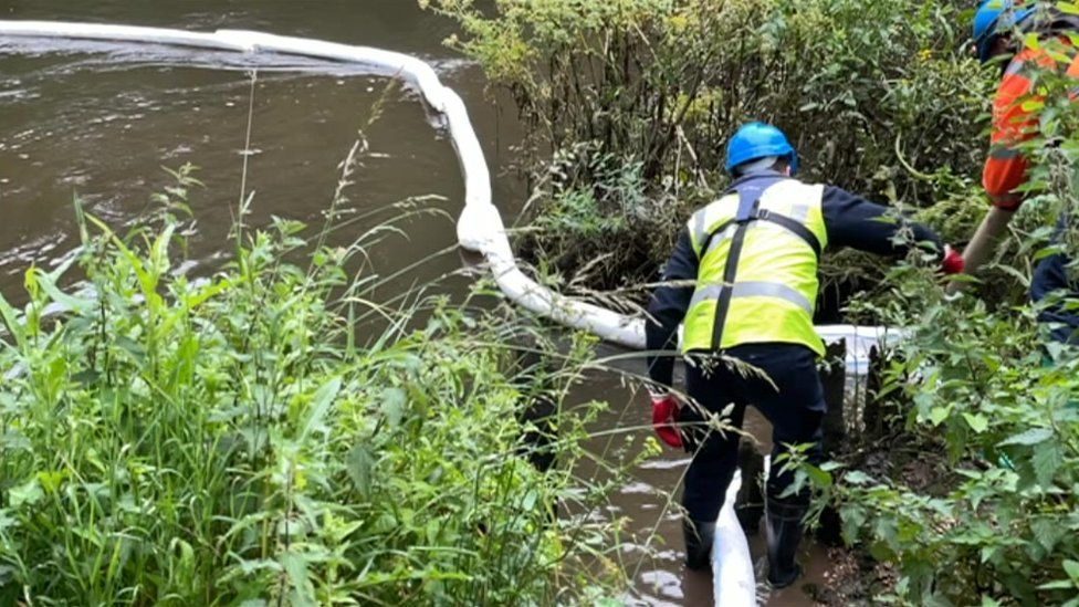 Lower Test nature reserve oil pollution response ‘inadequate’