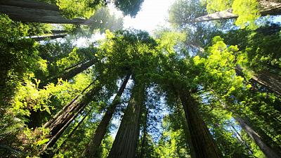 Portugal becomes the fourth EU country to stop using coal to generate electricity