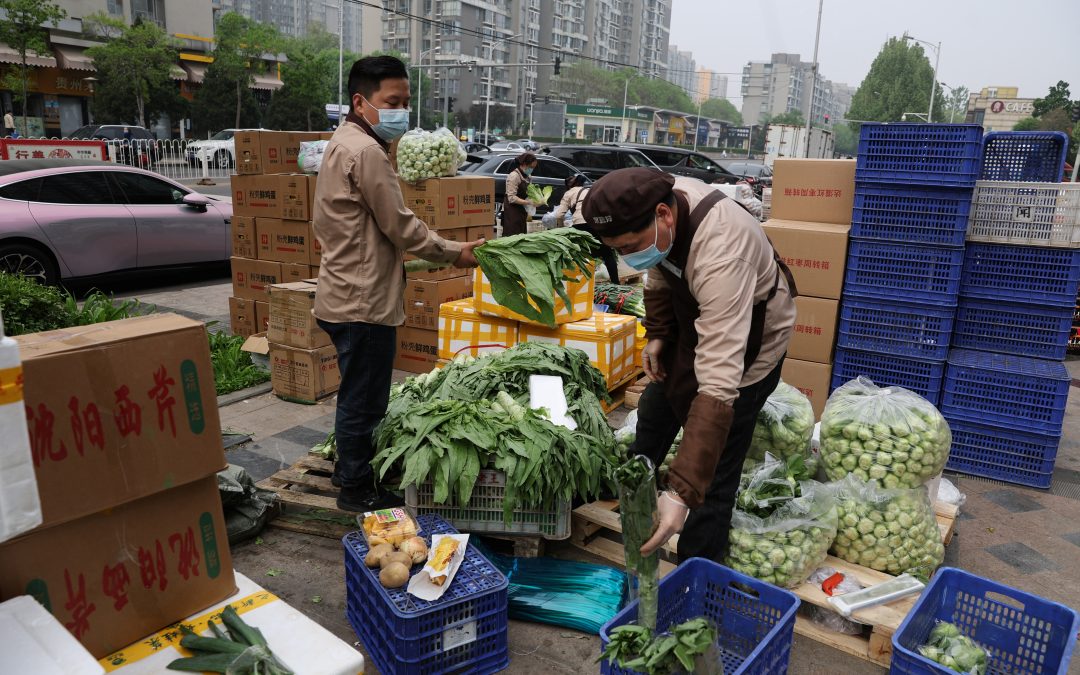 China eyes 10% cut in pesticide use on fruit, vegetables by 2025