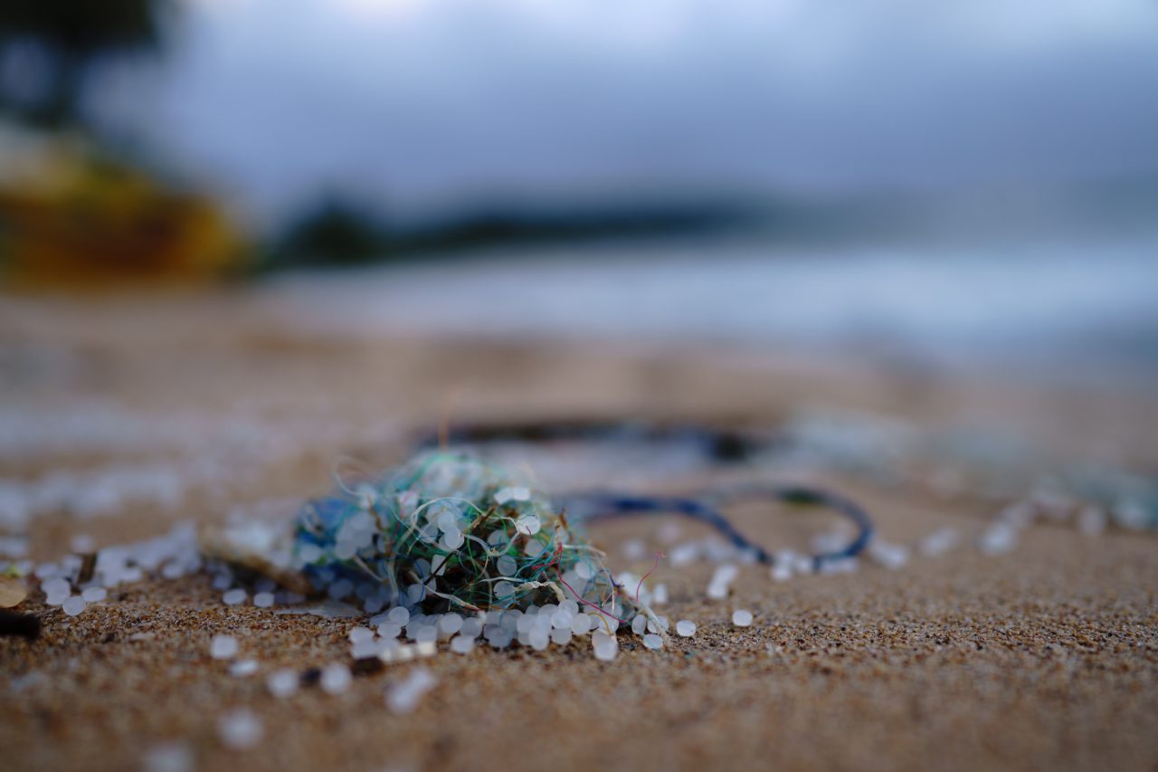 Microplastics: The ‘big little problem’ plaguing oceans