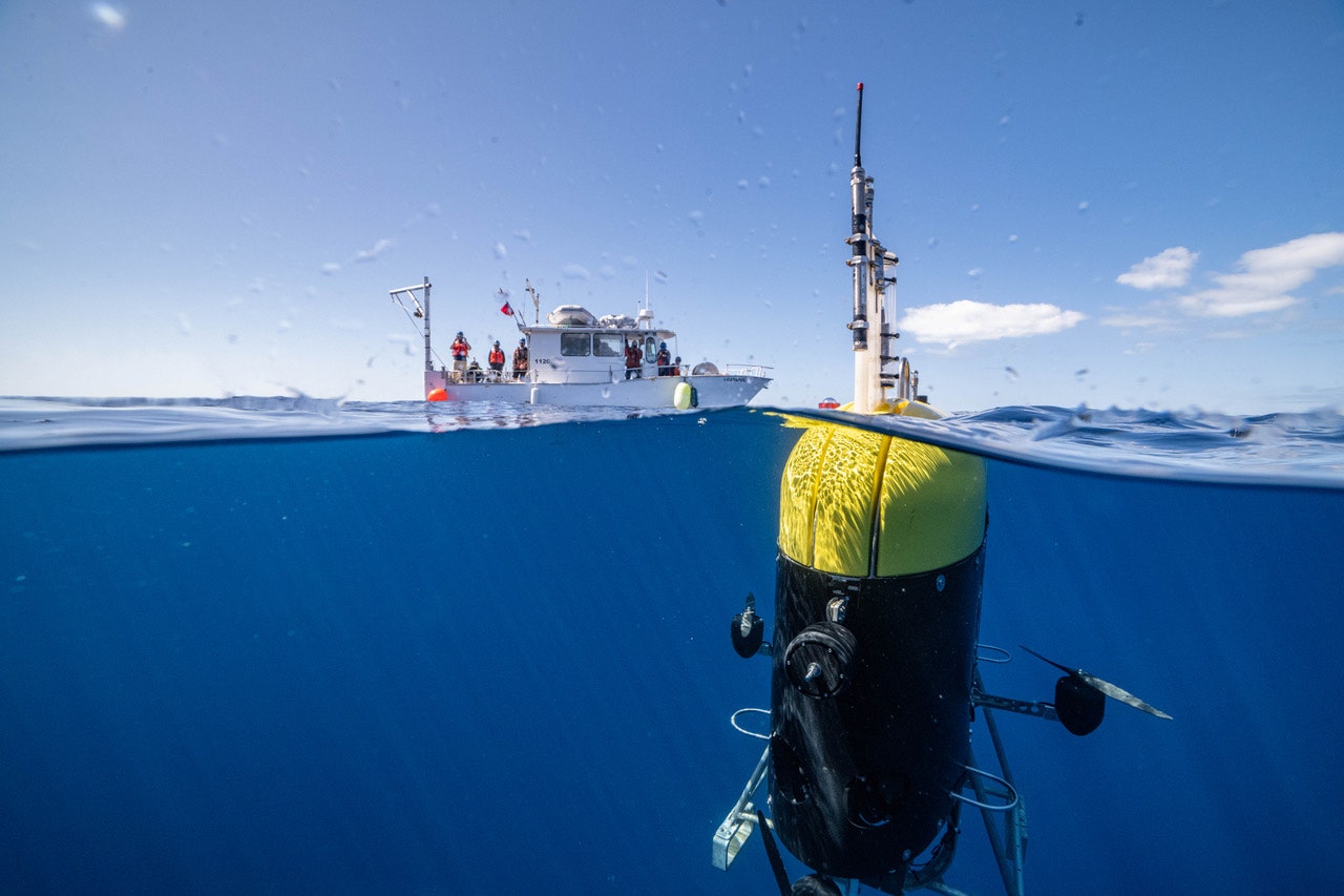 A clever robot spies on creatures in the ocean’s ‘twilight zone’