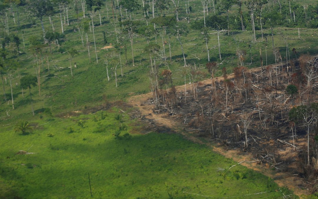 Deforestation in Brazil’s Amazon rainforest hits record January high