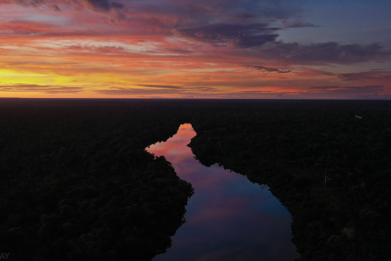 Notable deaths in conservation in 2020
