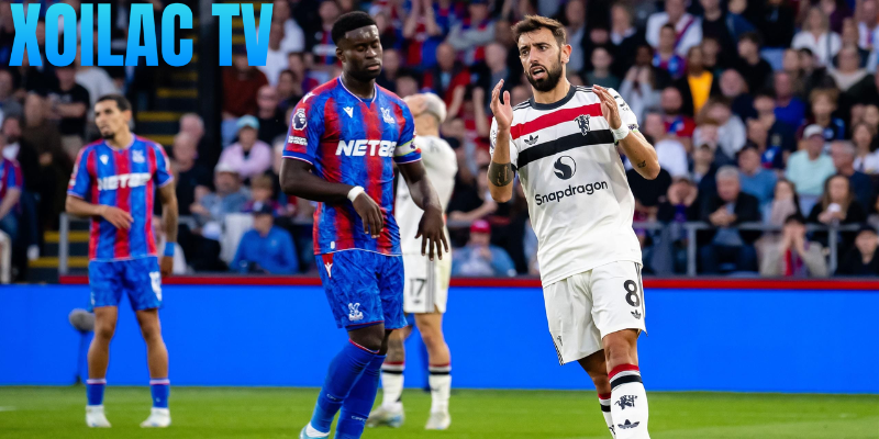 Nhận định Crystal Palace – Manchester United vào lúc 19:00 ngày 30/11