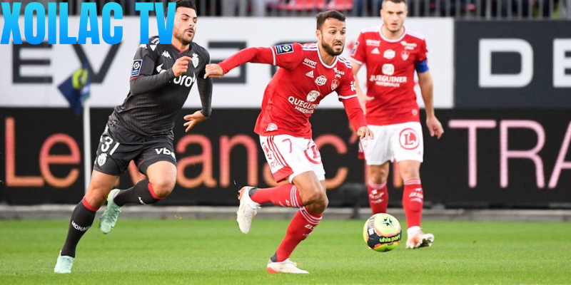 Nhận định Brest – Monaco vào lúc 01:00 ngày 06/12